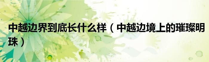 中越边界到底长什么样(中越边境上的璀璨明珠)