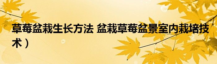 草莓盆栽生长方法 盆栽草莓盆景室内栽培技术)