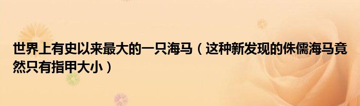 世界上有史以来最大的一只海马(这种新发现的侏儒海马竟然只有指甲大小)