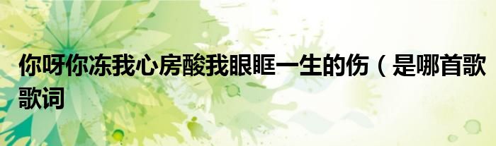 你呀你冻我心房酸我眼眶一生的伤(是哪首歌歌词