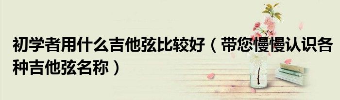 初学者用什么吉他弦比较好(带您慢慢认识各种吉他弦名称)