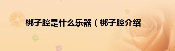 梆子腔是什么乐器(梆子腔介绍