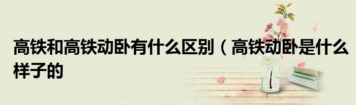 高铁和高铁动卧有什么区别(高铁动卧是什么样子的