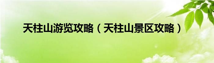 天柱山游览攻略(天柱山景区攻略)