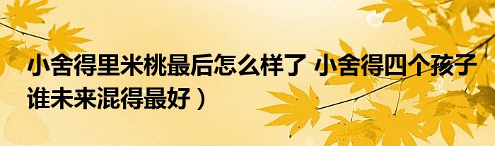 小舍得里米桃最后怎么样了 小舍得四个孩子谁未来混得最好)