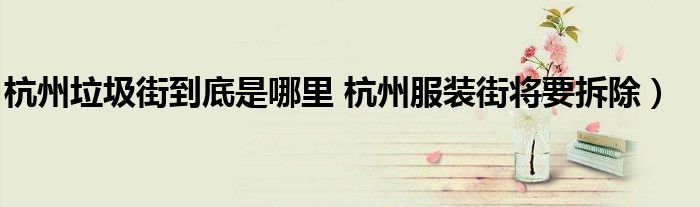 杭州垃圾街到底是哪里 杭州服装街将要拆除)