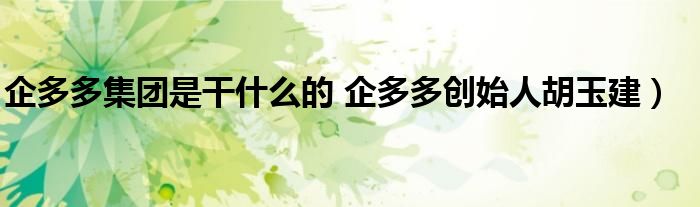 企多多集团是干什么的 企多多创始人胡玉建)