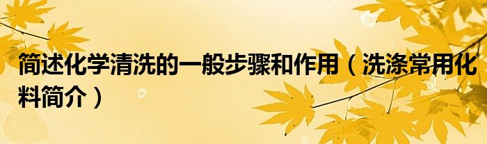 简述化学清洗的一般步骤和作用(洗涤常用化料简介)