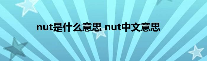 nut是什么意思 nut中文意思