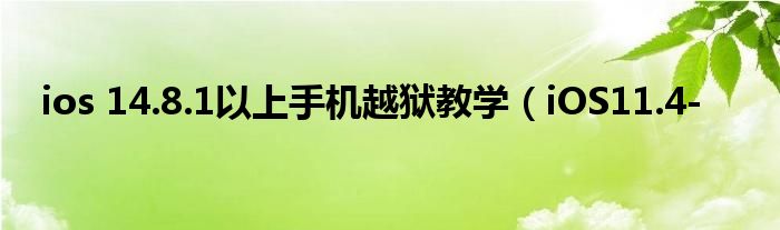 ios 14.8.1以上手机越狱教学(iOS11.4-