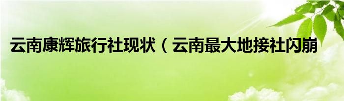 云南康辉旅行社现状(云南最大地接社闪崩