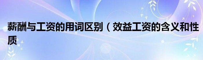 薪酬与工资的用词区别(效益工资的含义和性质