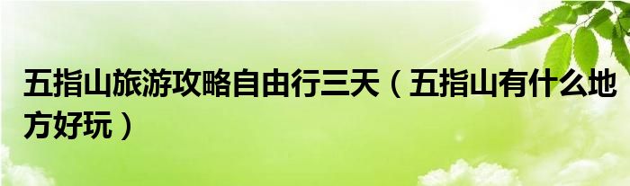 五指山旅游攻略自由行三天(五指山有什么地方好玩)