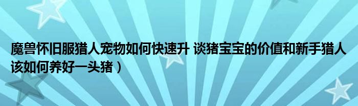 魔兽怀旧服猎人宠物如何快速升 谈猪宝宝的价值和新手猎人该如何养好一头猪)