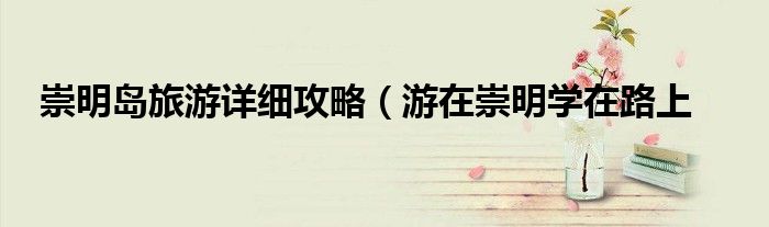 崇明岛旅游详细攻略(游在崇明学在路上