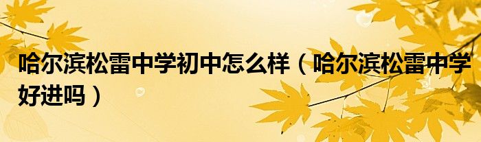 哈尔滨松雷中学初中怎么样(哈尔滨松雷中学好进吗)