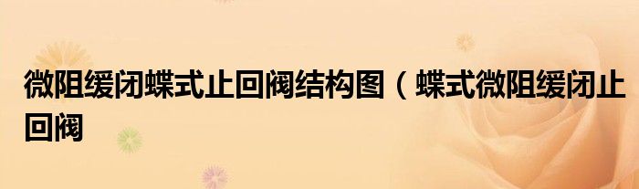 微阻缓闭蝶式止回阀结构图(蝶式微阻缓闭止回阀