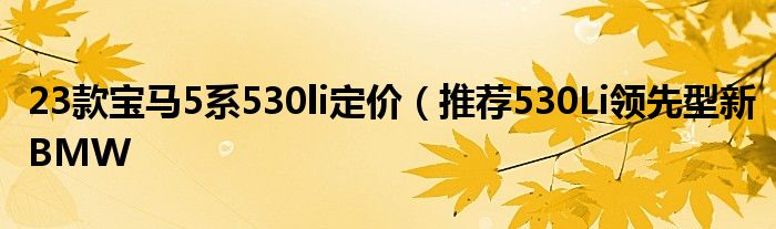 23款宝马5系530li定价(推荐530Li领先型新BMW