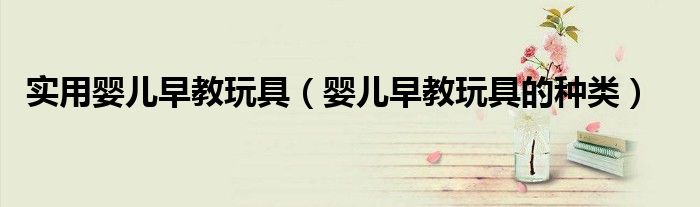 实用婴儿早教玩具(婴儿早教玩具的种类)