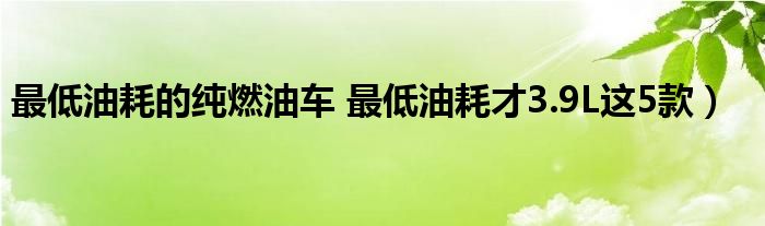 最低油耗的纯燃油车 最低油耗才3.9L这5款)