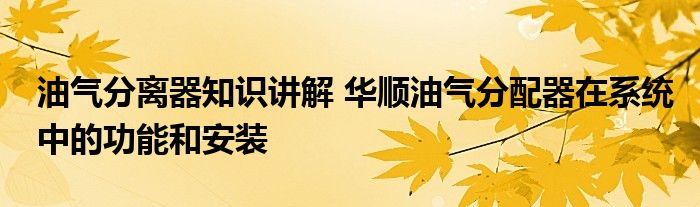 油气分离器知识讲解 华顺油气分配器在系统中的功能和安装
