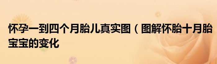 怀孕一到四个月胎儿真实图(图解怀胎十月胎宝宝的变化