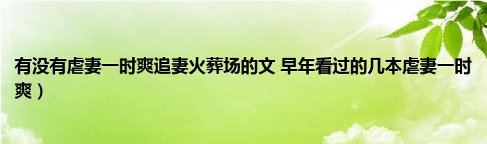 有没有虐妻一时爽追妻火葬场的文 早年看过的几本虐妻一时爽)