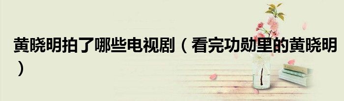 黄晓明拍了哪些电视剧(看完功勋里的黄晓明)