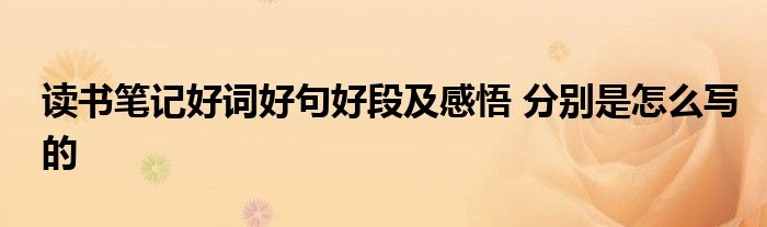 读书笔记好词好句好段及感悟 分别是怎么写的