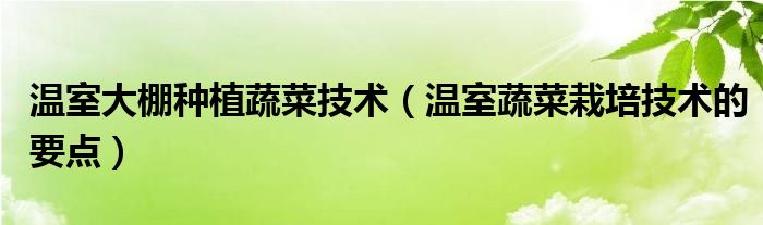温室大棚种植蔬菜技术(温室蔬菜栽培技术的要点)