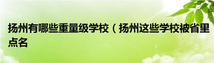 扬州有哪些重量级学校(扬州这些学校被省里点名