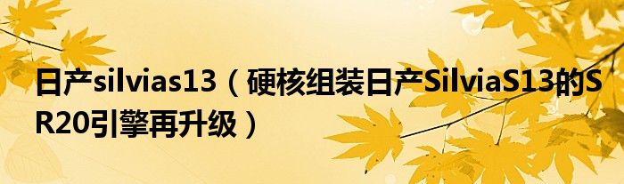 日产silvias13(硬核组装日产SilviaS13的SR20引擎再升级)