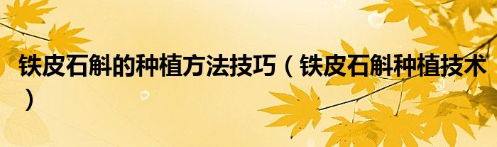 铁皮石斛的种植方法技巧(铁皮石斛种植技术)