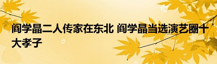 阎学晶二人传家在东北 阎学晶当选演艺圈十大孝子