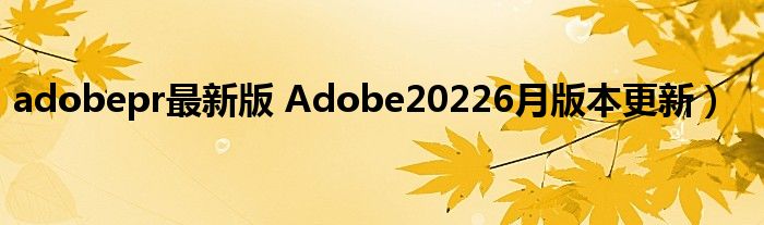 adobepr最新版 Adobe20226月版本更新)