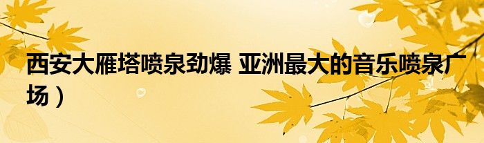西安大雁塔喷泉劲爆 亚洲最大的音乐喷泉广场)