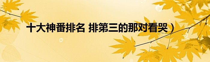 十大神番排名 排第三的那对看哭)