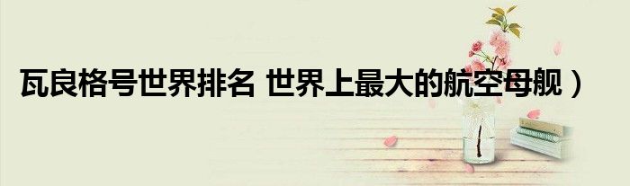瓦良格号世界排名 世界上最大的航空母舰)