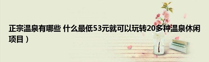 正宗温泉有哪些 什么最低53元就可以玩转20多种温泉休闲项目)