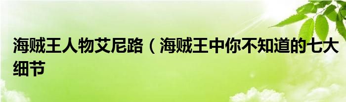 海贼王人物艾尼路(海贼王中你不知道的七大细节