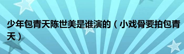 少年包青天陈世美是谁演的(小戏骨要拍包青天)