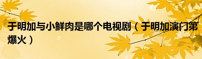 于明加与小鲜肉是哪个电视剧(于明加演门第爆火)