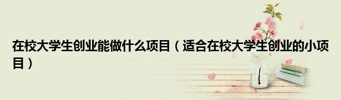 在校大学生创业能做什么项目(适合在校大学生创业的小项目)