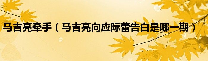 马吉亮牵手(马吉亮向应际蕾告白是哪一期)
