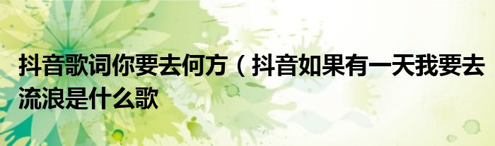 抖音歌词你要去何方(抖音如果有一天我要去流浪是什么歌