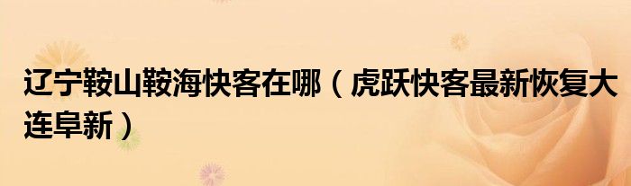 辽宁鞍山鞍海快客在哪(虎跃快客最新恢复大连阜新)