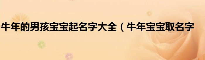 牛年的男孩宝宝起名字大全(牛年宝宝取名字
