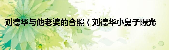 刘德华与他老婆的合照(刘德华小舅子曝光