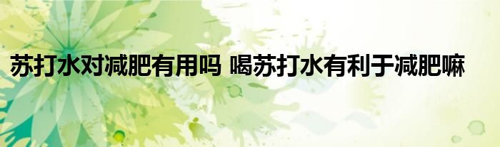 苏打水对减肥有用吗 喝苏打水有利于减肥嘛