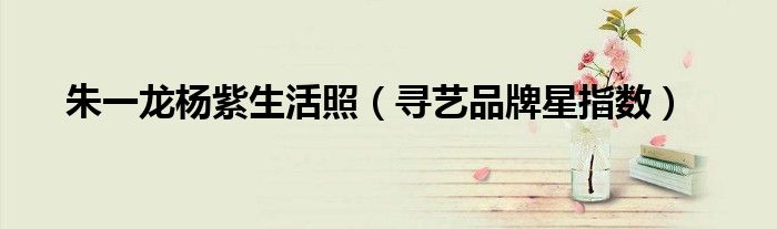 朱一龙杨紫生活照(寻艺品牌星指数)